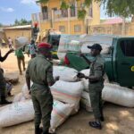 Extrême-Nord: 43 sacs de chanvre indien saisis par la gendarmerie