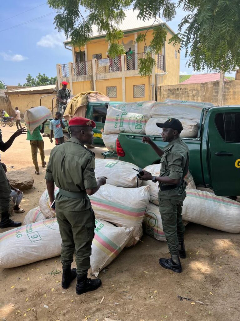 Extrême-Nord: 43 sacs de chanvre indien saisis par la gendarmerie