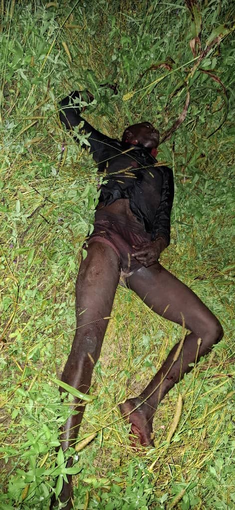 Cameroun: 05 preneurs d’otages arrêtés et 02 autres tués dans le Mayo-Kani