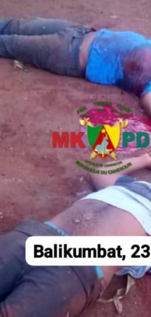 Cameroun : 02 généraux ambazoniens abattus par l’armée