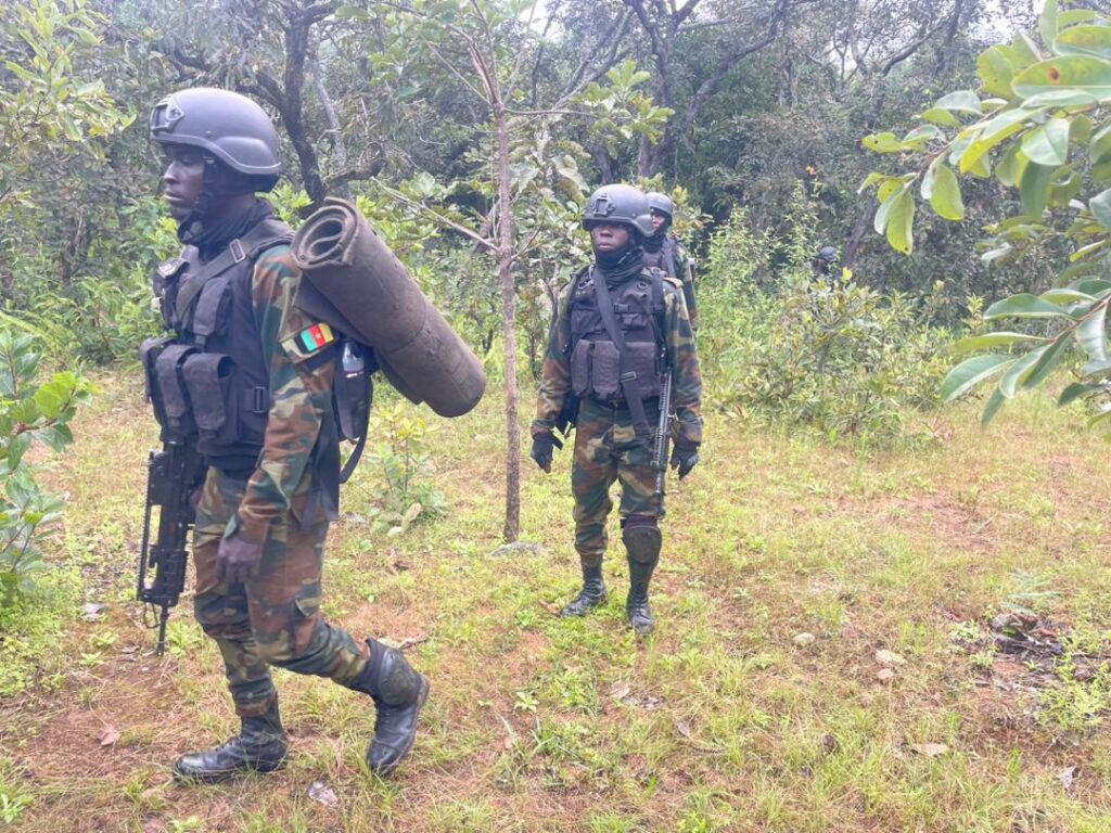 Cameroun : 08 personnes enlevées en une semaine dans le Nord et l’Adamaoua