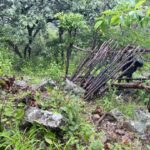 Cameroun: El Hadj Moussa Marouaré échappe à un kidnapping