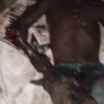 Cameroun : Une attaque de Boko Haram fait 01 mort