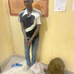 Cameroun : Des éléments des forces de sécurité et de défense impliqués dans le trafic de drogue.