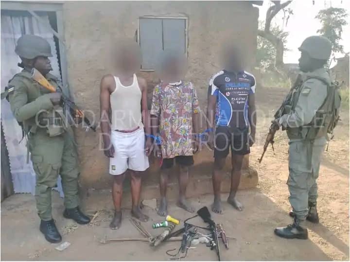 Cameroun : 03 malfrats arrêtés par la gendarmerie dans le Mayo-Rey