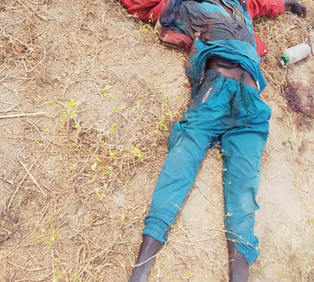 Cameroun : 10 Boko Haram tués par la Force Multinationale Mixte