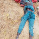 Cameroun : 10 Boko Haram tués par la Force Multinationale Mixte