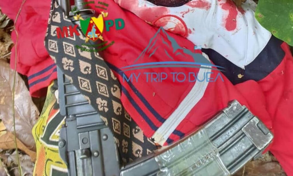 Cameroun : 02 ambazoniens tués par l’armée camerounaise
