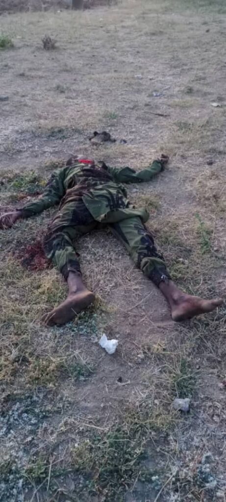 Cameroun : 06 membres de Boko Haram abattus par le BIR