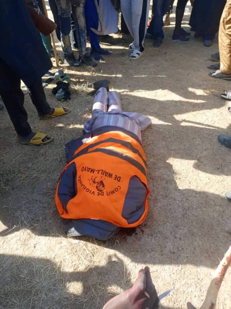 Cameroun : 02 membres de Boko Haram tués par la gendarmerie