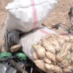 Cameroun : Un civil enlevé sur l’axe Amchidé-Walassa