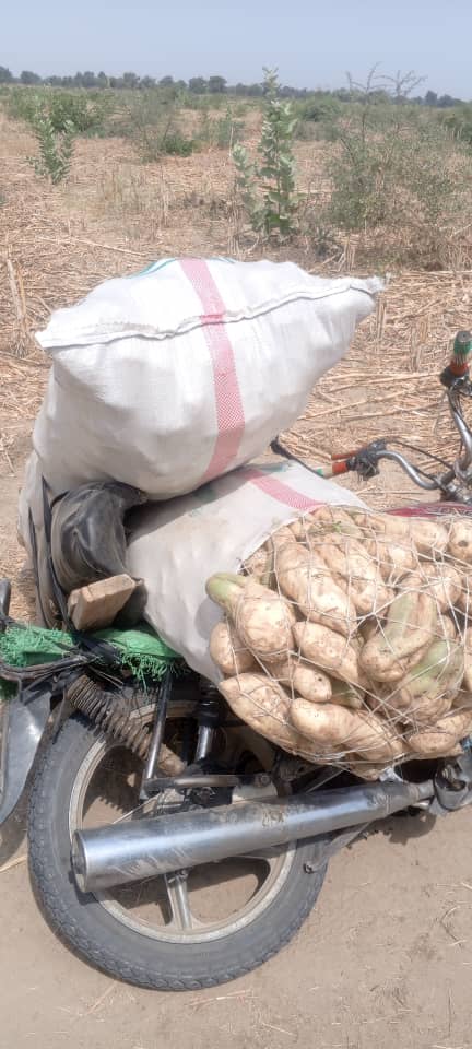 Cameroun : Un civil enlevé sur l’axe Amchidé-Walassa