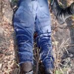 Cameroun : 01 assaillant de Boko Haram abattu par l’armée à Mora