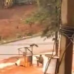 Cameroun : Des violents échanges de coups de feu entre séparatistes et l’armée