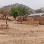 Cameroun : 01 civil tué et 01 autre blessé dans une attaque de Boko Haram