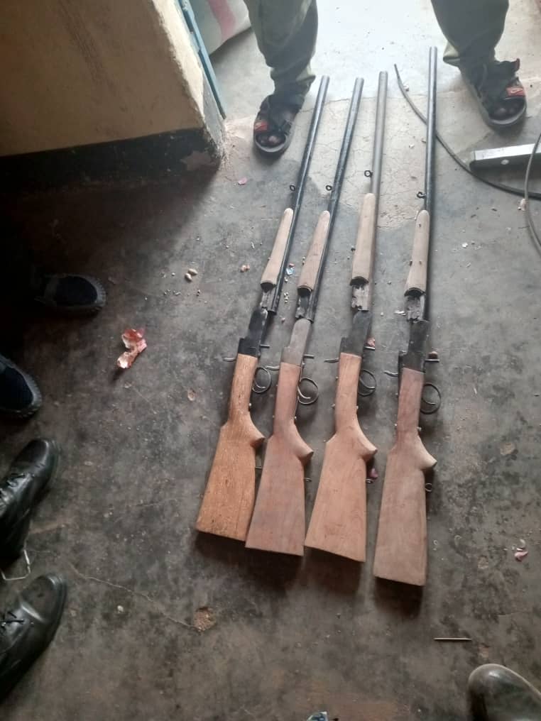 Cameroun : 04 armes saisies par les douaniers ainsi que des espèces protégées à Salah et Tchabal